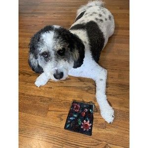 Vintage Arden B Beaded Sequins Clutch Mini Purse with Strap